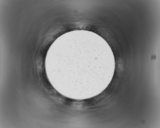 X0000113220615200910221126