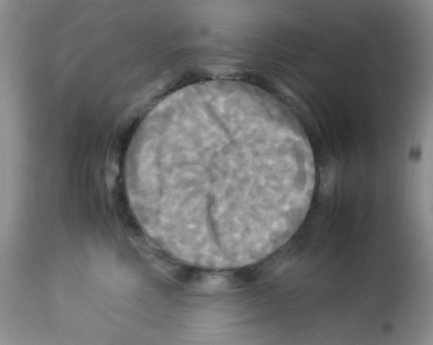 X0000113220618200910221126