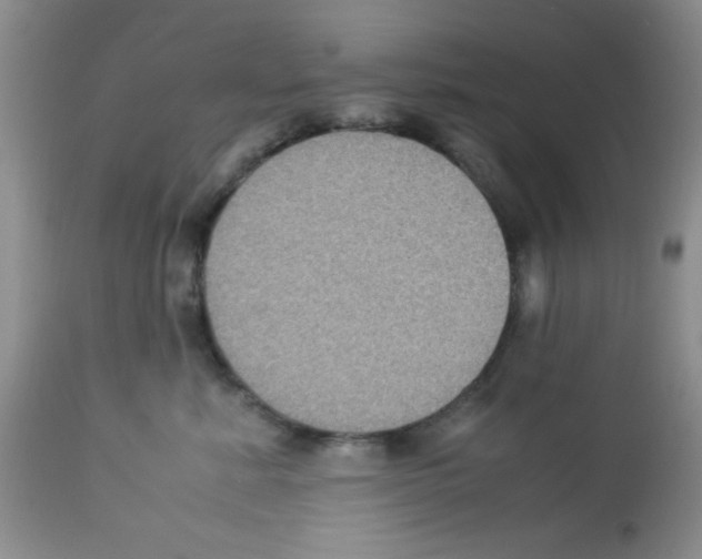 X0000113220619200910221126