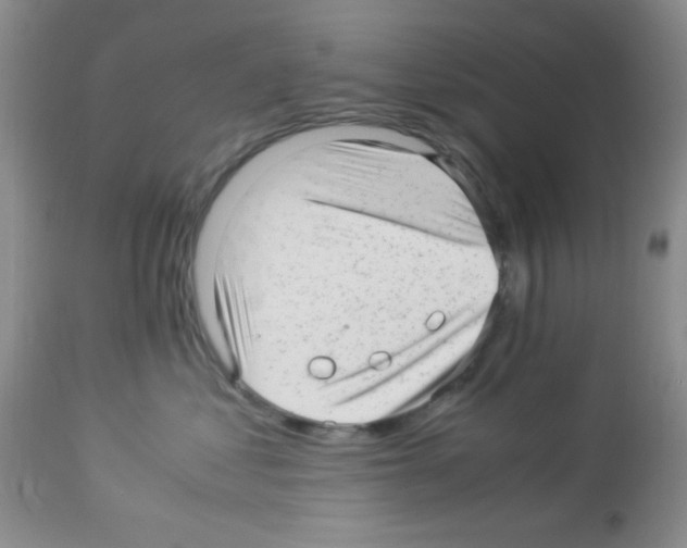 X0000113220621200910221126