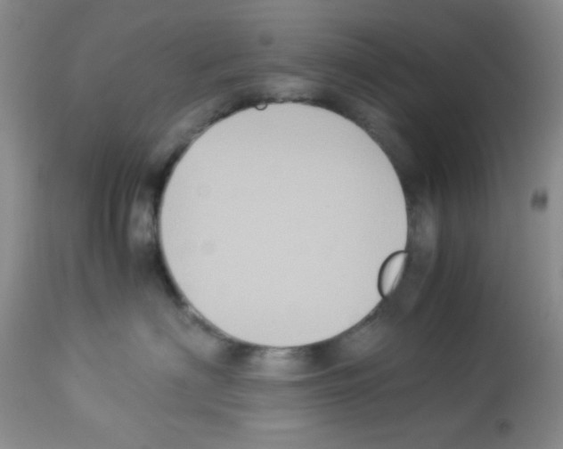 X0000113220622200910221126