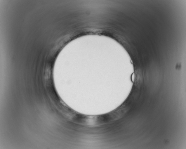 X0000113220623200910221126
