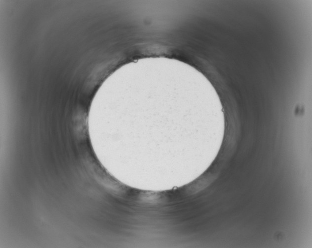 X0000113220624200910221126