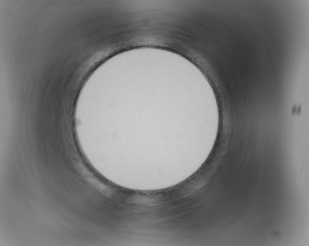 X0000113220625200910221125