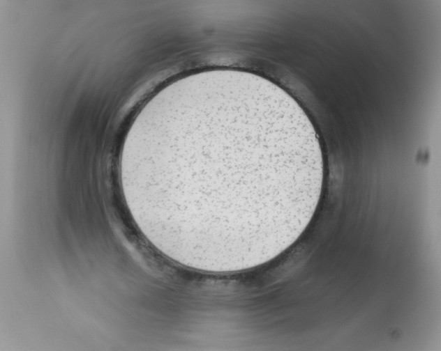 X0000113220626200910221125