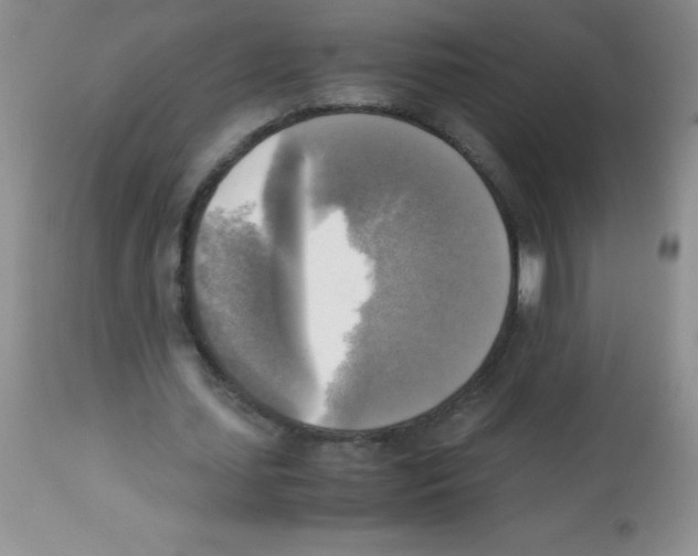 X0000113220627200910221125
