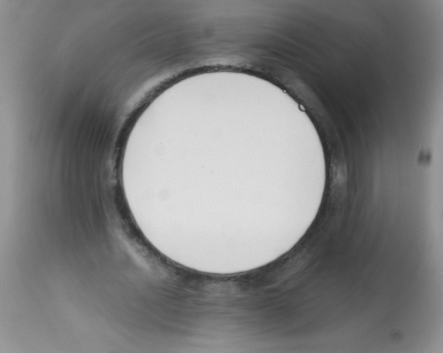 X0000113220628200910221125