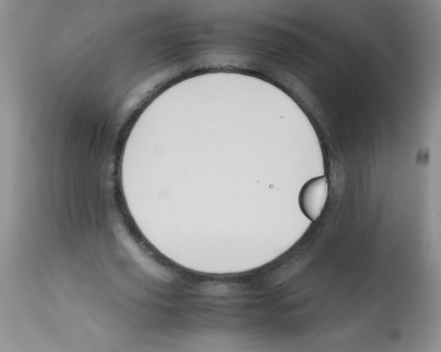 X0000113220629200910221125
