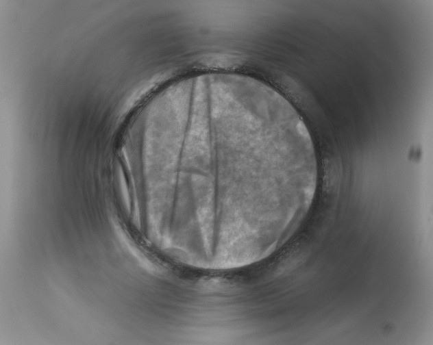 X0000113220634200910221125