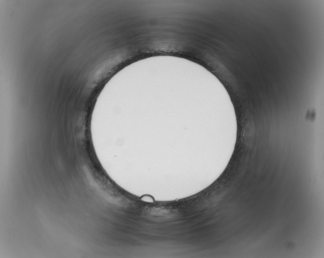 X0000113220635200910221125