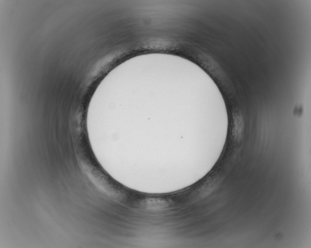 X0000113220636200910221125