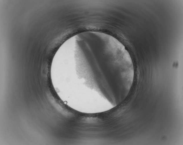 X0000113220637200910221125