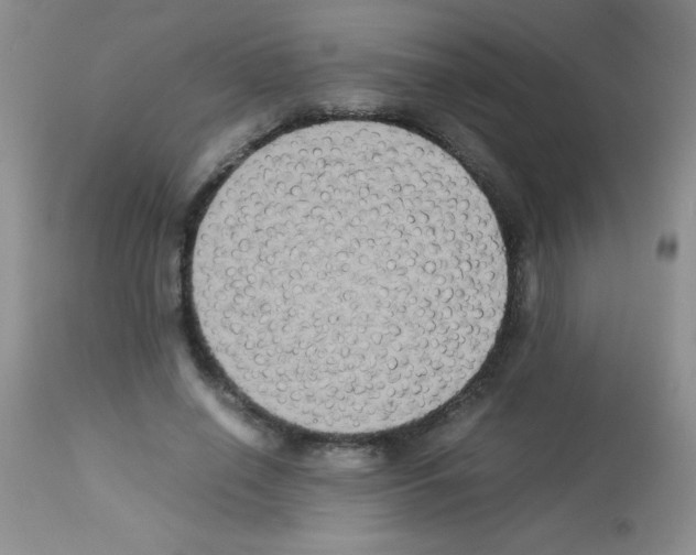 X0000113220638200910221125