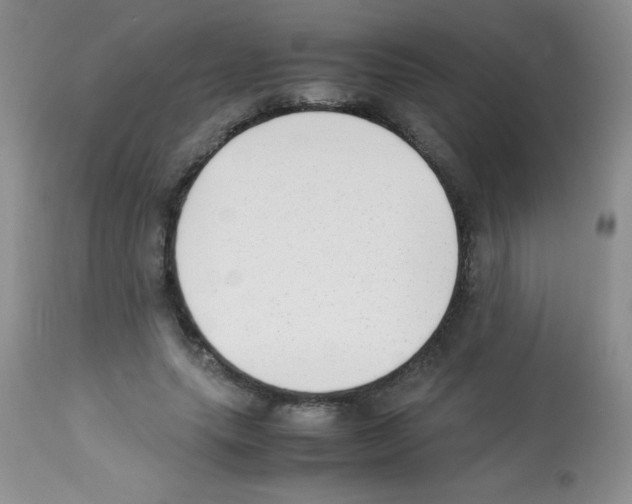X0000113220639200910221125