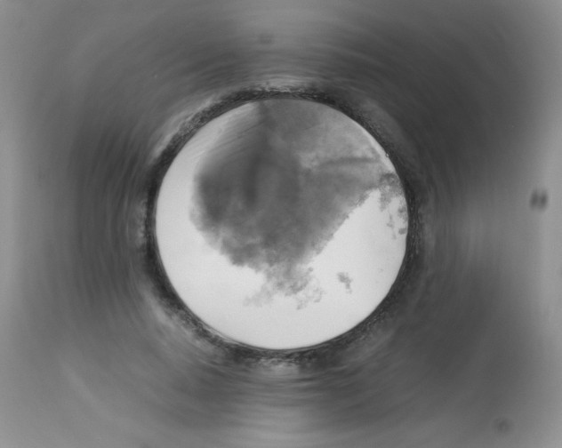 X0000113220640200910221125