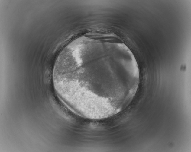 X0000113220641200910221125