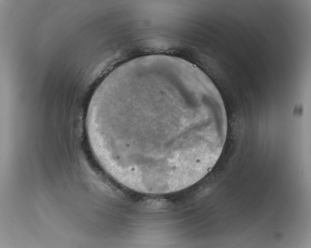 X0000113220642200910221125