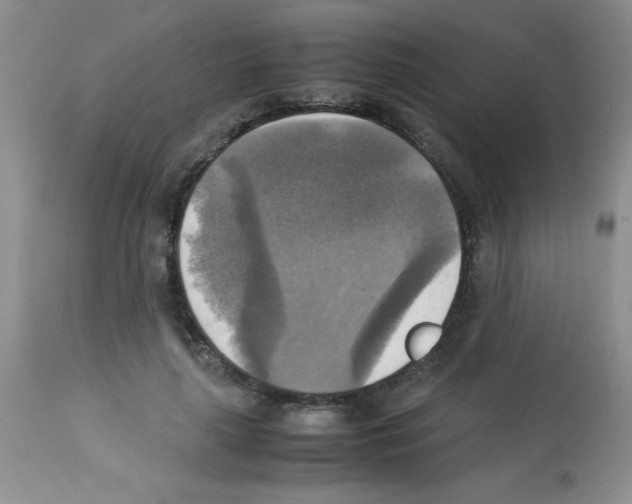 X0000113220643200910221125