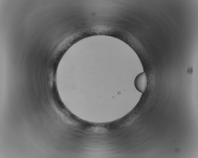 X0000113220644200910221125
