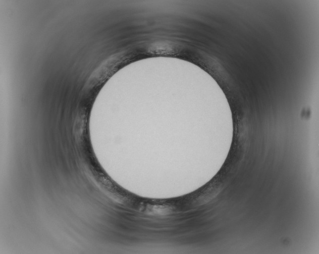 X0000113220645200910221125
