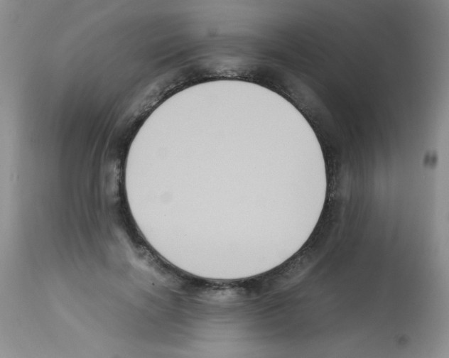 X0000113220646200910221125