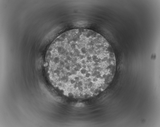 X0000113220647200910221125