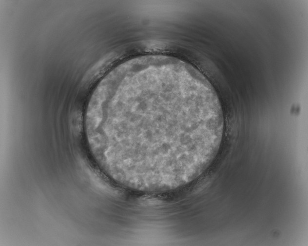 X0000113220648200910221125