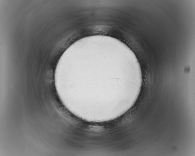 X0000113220649200910221125