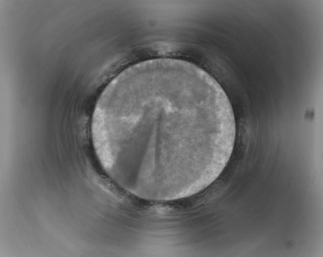 X0000113220650200910221125