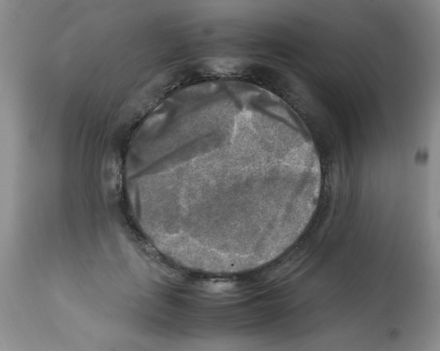 X0000113220651200910221125