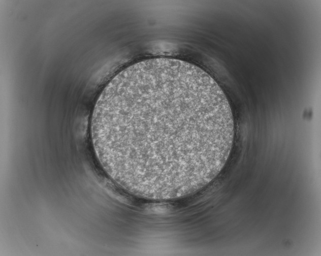 X0000113220652200910221125