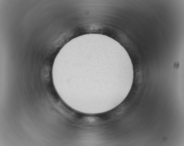 X0000113220654200910221125