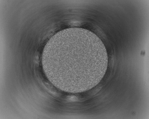 X0000113220655200910221126
