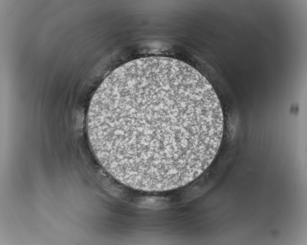 X0000113220657200910221126