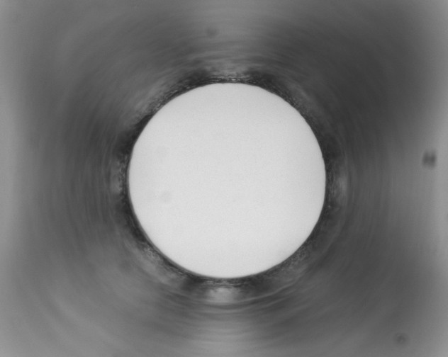 X0000113220658200910221126