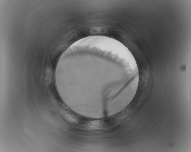 X0000113220659200910221126