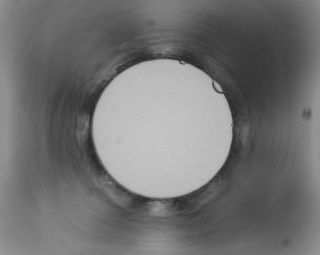 X0000113220660200910221126