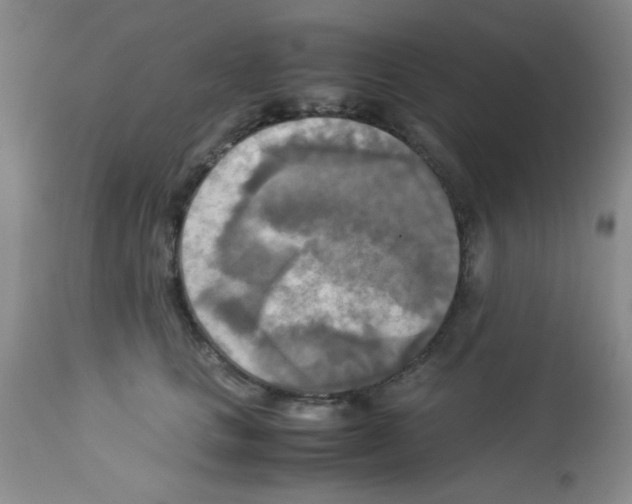 X0000113220661200910221126
