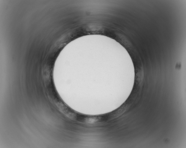 X0000113220662200910221126