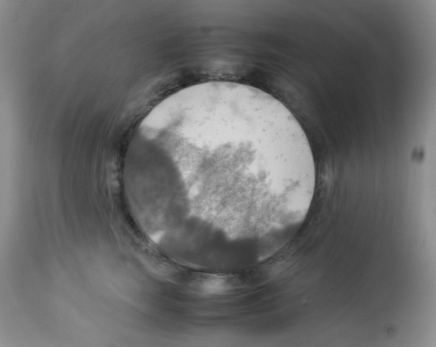 X0000113220663200910221126