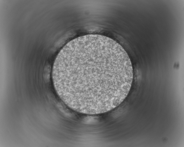 X0000113220664200910221126