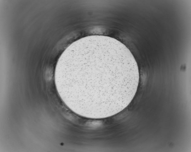 X0000113220665200910221126