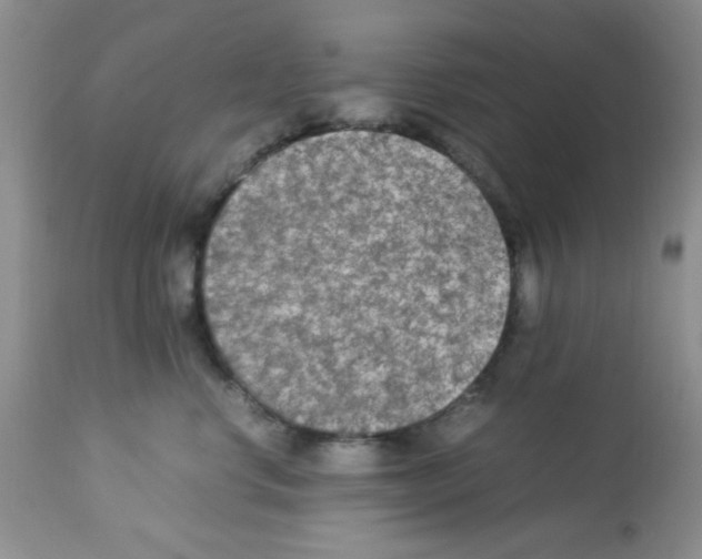 X0000113220668200910221126