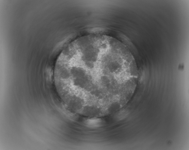 X0000113220669200910221126