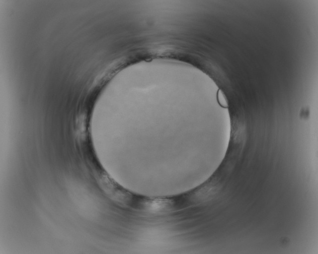 X0000113220670200910221126
