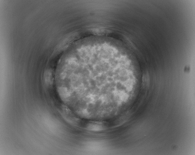 X0000113220671200910221126
