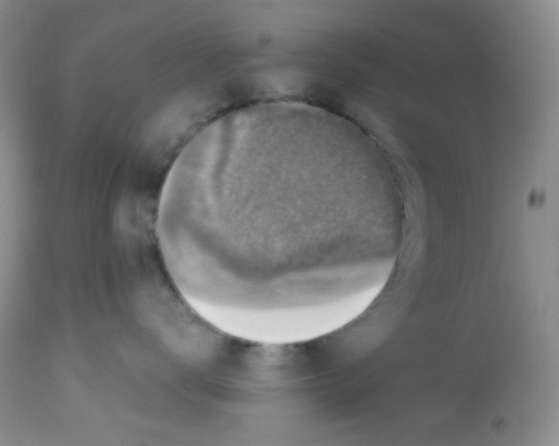 X0000113220672200910221126