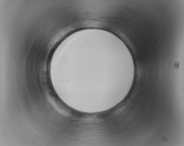 X0000113220674200910221125