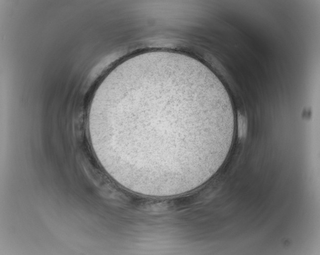 X0000113220675200910221125