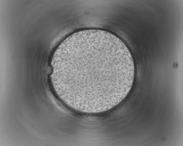 X0000113220677200910221125